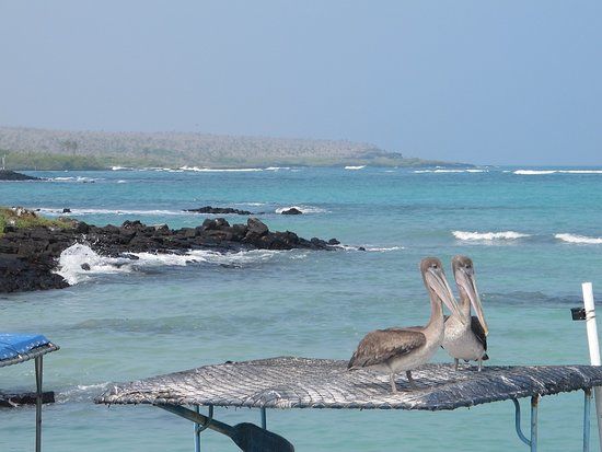 el Malecón de Puerto Ayora
