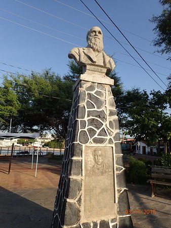 Busto de Charles Darwin