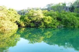 Laguna las Ninfas