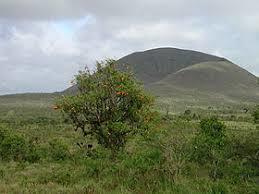 Cerro Pajas