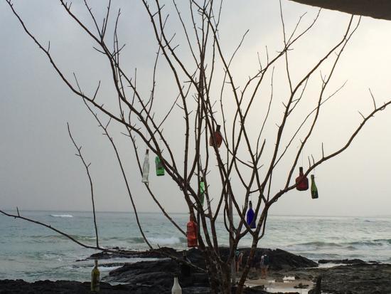 Beto's Beach Bar