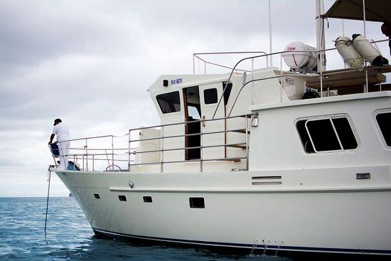 Yacht Santa Fe III