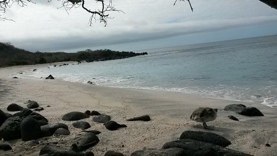 Playa Baquerizo